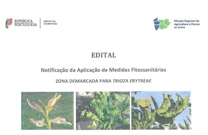 Notifica&ccedil;&atilde;o da Aplica&ccedil;&atilde;o de Medidas Fitossanit&aacute;rias - ZONA DEMARCADA PARA TRIOZA ERYTREAE