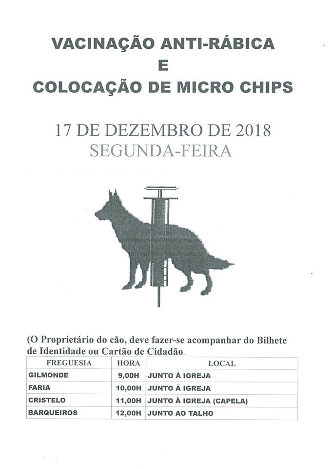 Vacinação anti-rábica e colocação de micro chips